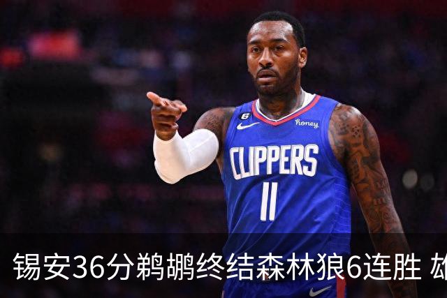 锡安36分鹈鹕终结森林狼6连胜 雄鹿险胜公牛