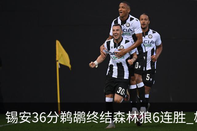 锡安36分鹈鹕终结森林狼6连胜 雄鹿险胜公牛